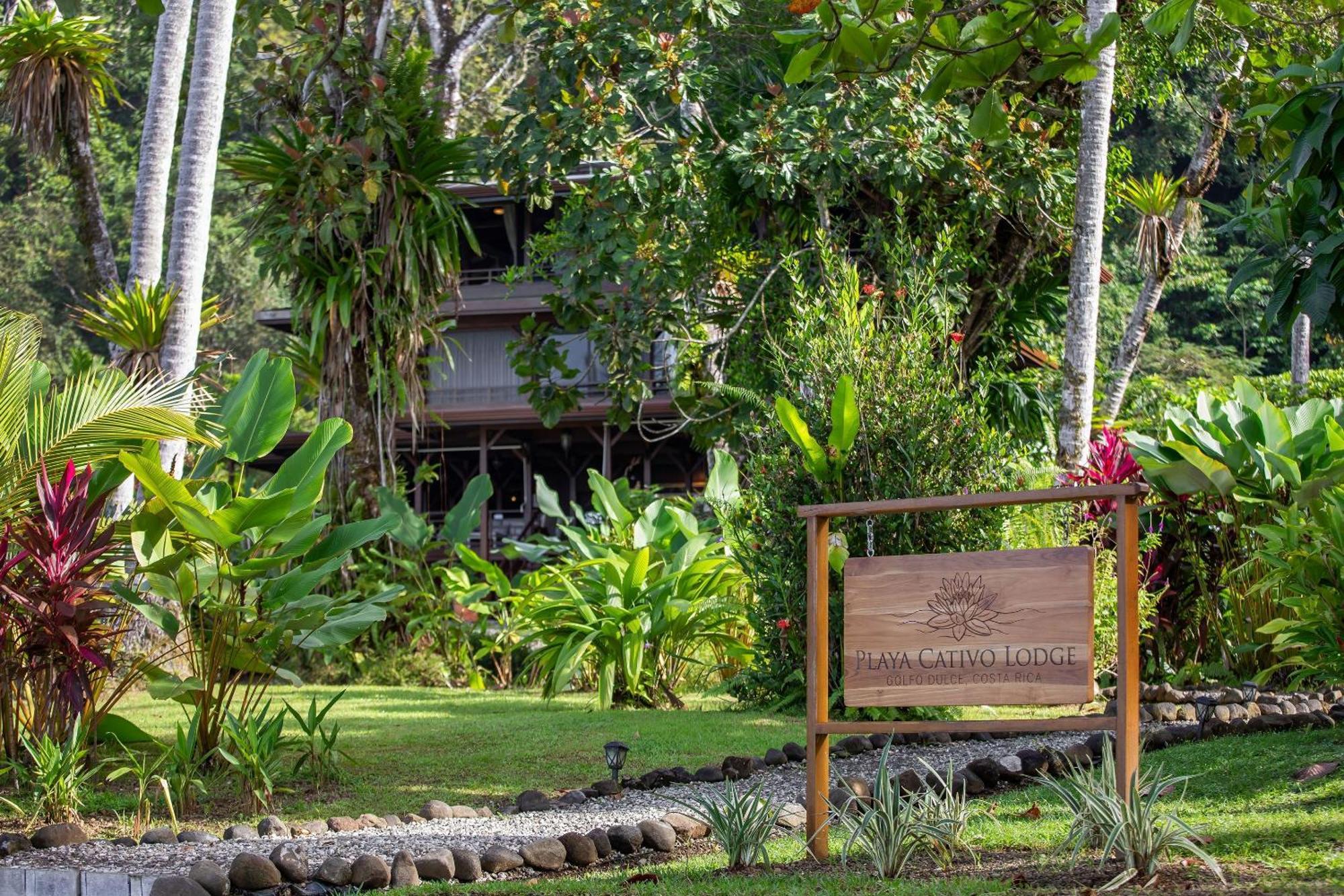 Playa Cativo Lodge Esquinas エクステリア 写真