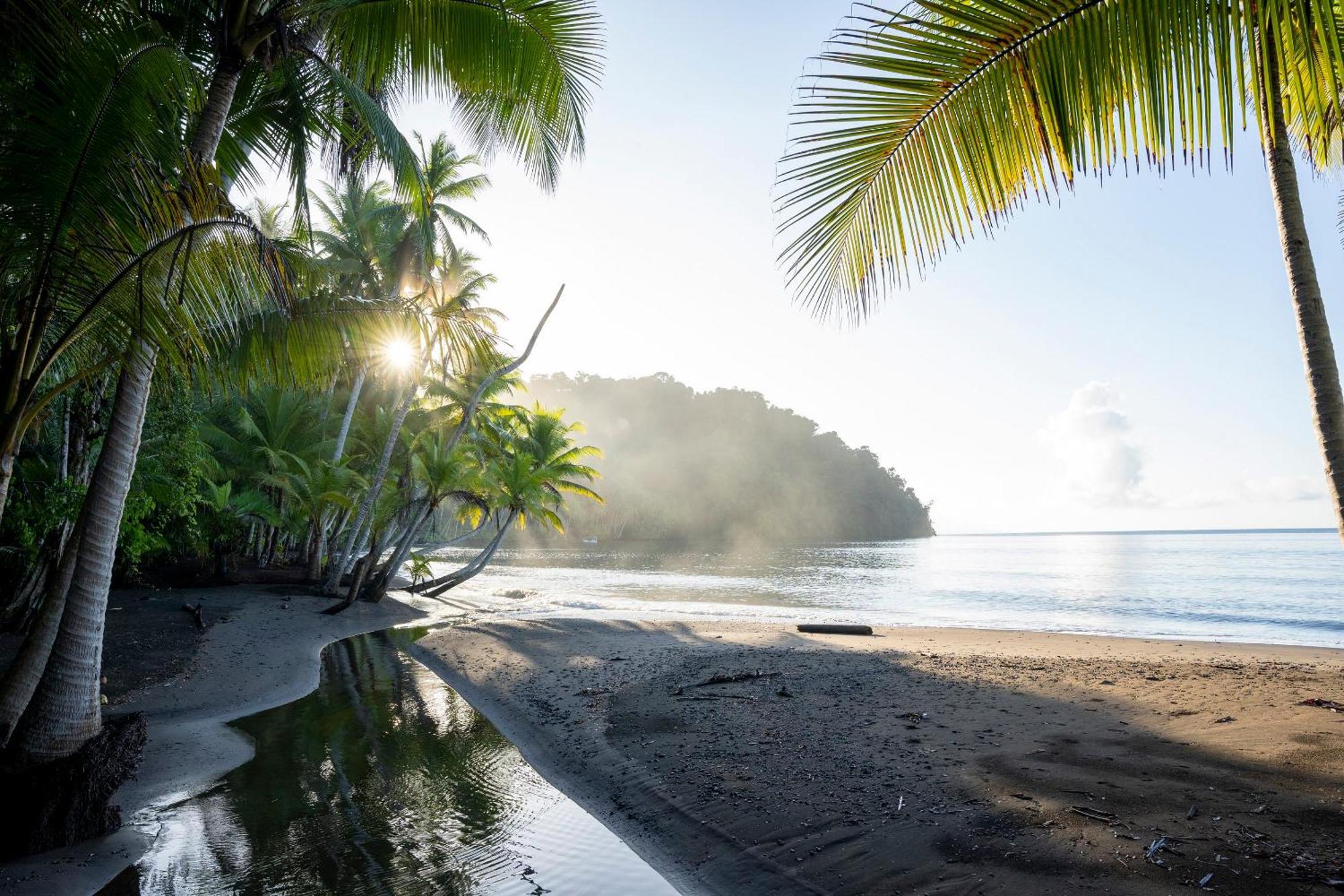 Playa Cativo Lodge Esquinas エクステリア 写真