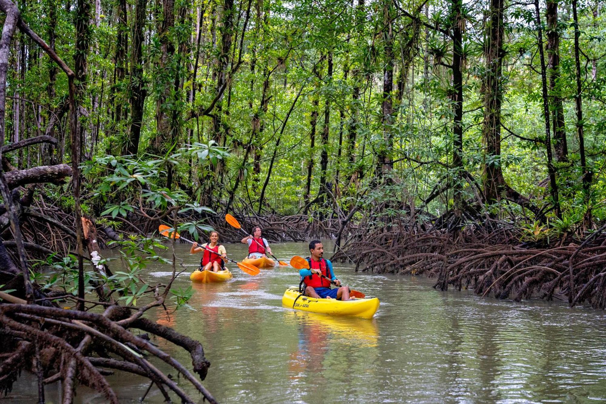 Playa Cativo Lodge Esquinas エクステリア 写真