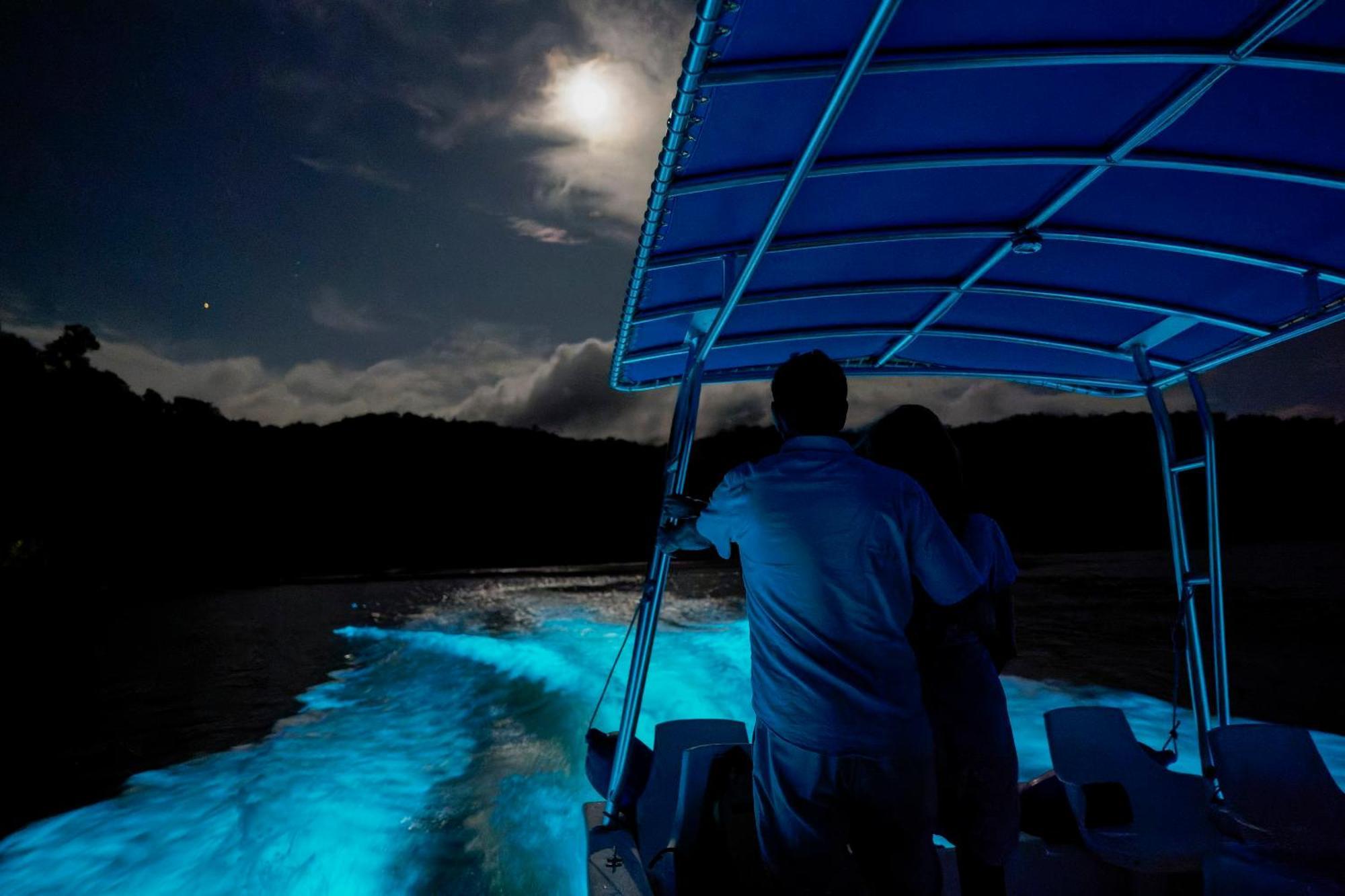 Playa Cativo Lodge Esquinas エクステリア 写真